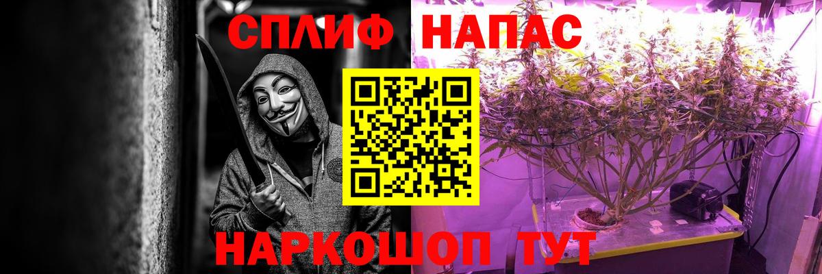 Каннабис планчик Нурлат